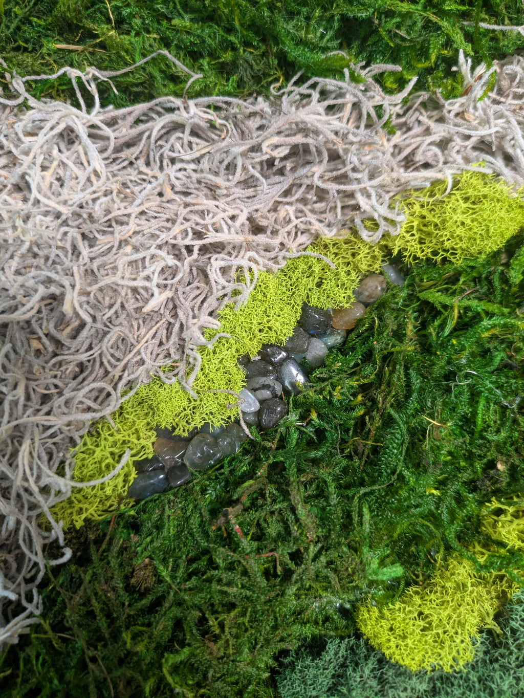 Wild Wisdom — No. 1 |Original Moss & Crystal Art