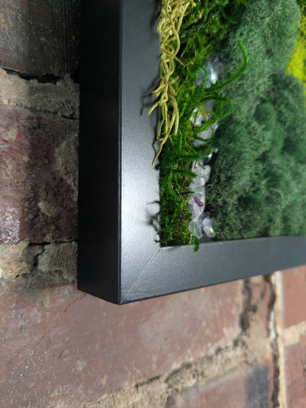 Wild Wisdom — No. 1 |Original Moss & Crystal Art