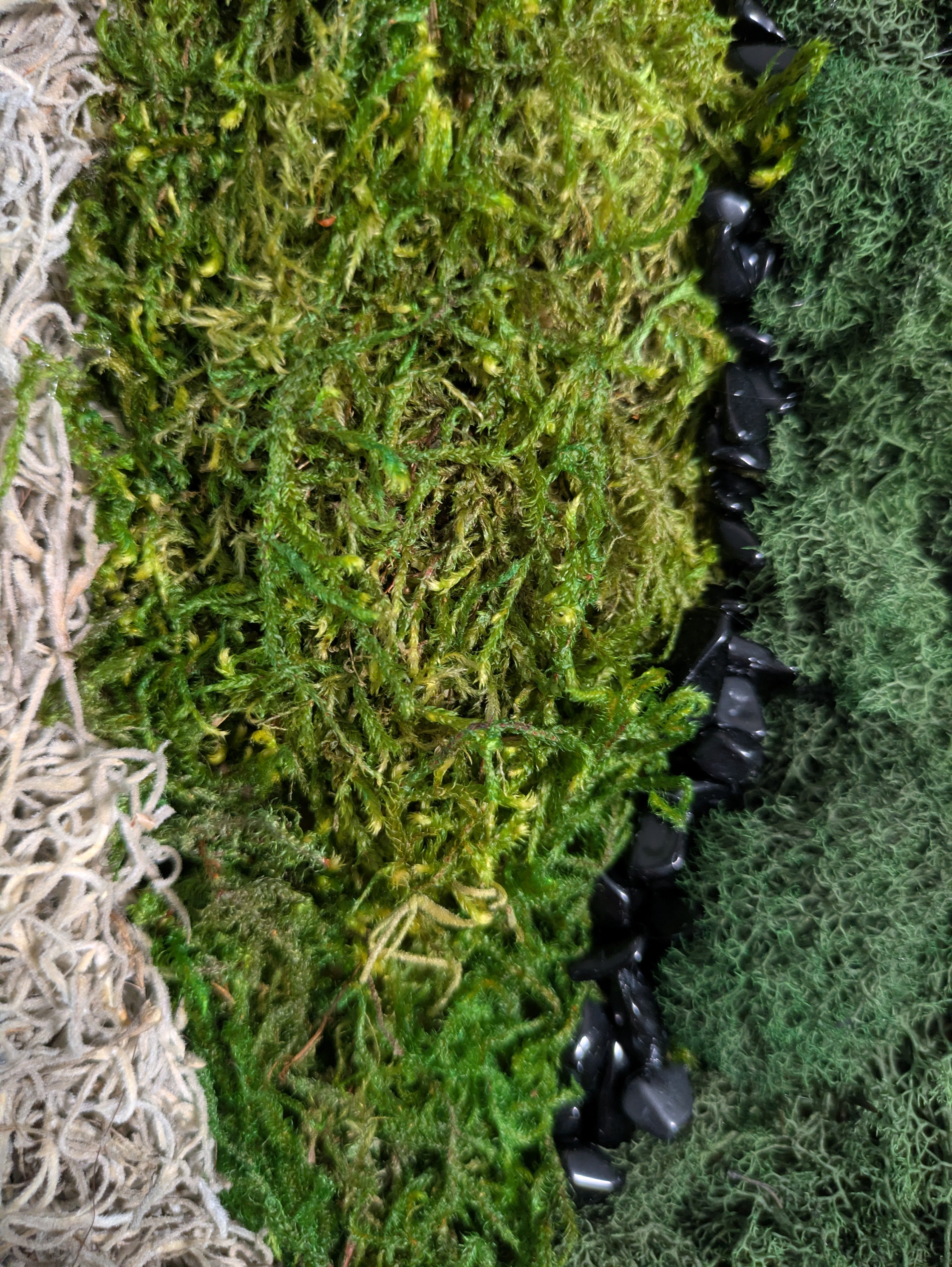 Threshold — No. 1 | Original Moss & Crystal Art
