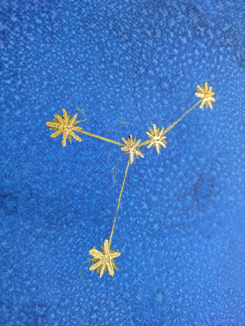 Golden Cancer — No. 1 | Original Zodiac Moss & Crystal Art