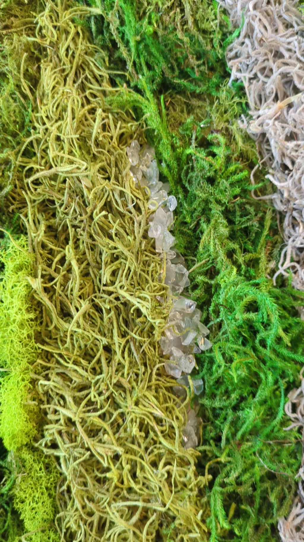 Threshold — No. 1 | Original Moss & Crystal Art