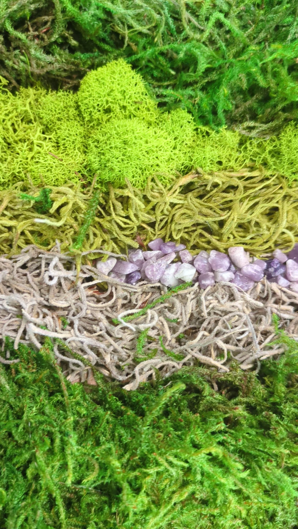 Sanctuary — No. 1 | Original Moss & Crystal Art