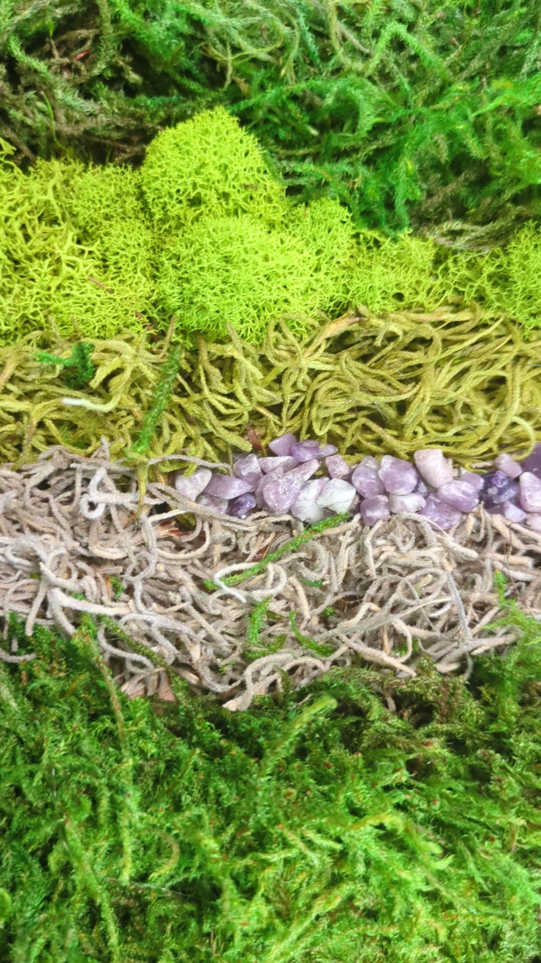 Sanctuary — No. 1 | Original Moss & Crystal Art