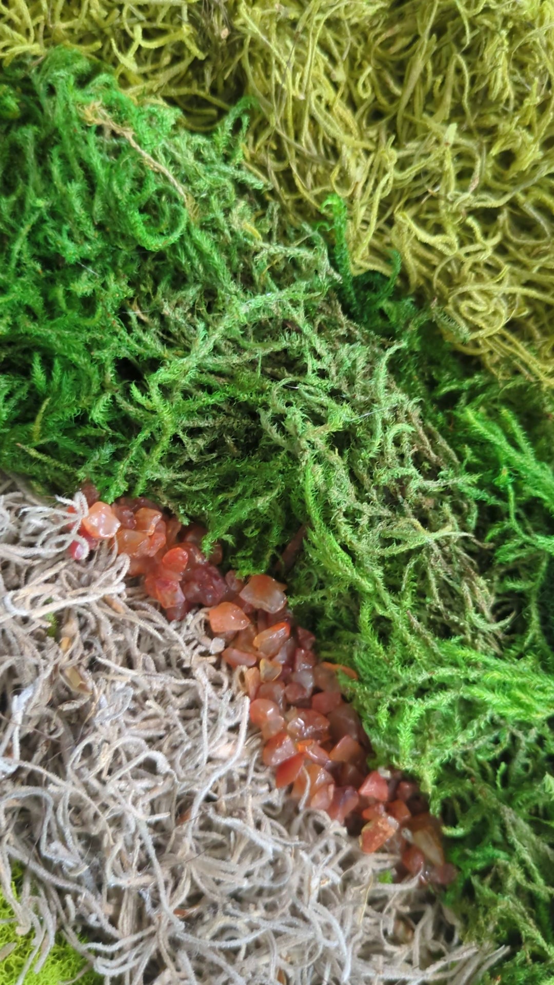 Courage — No. 1 | Original Moss & Crystal Art