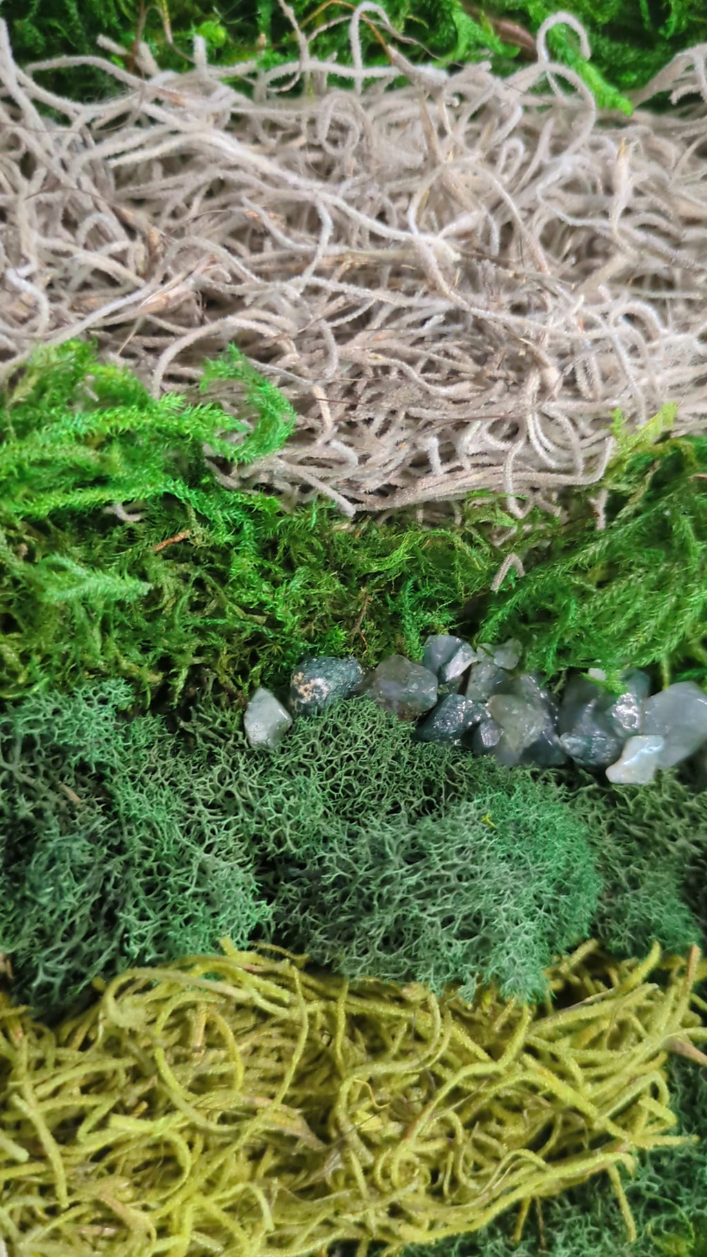 Wild Wisdom — No. 1 |Original Moss & Crystal Art
