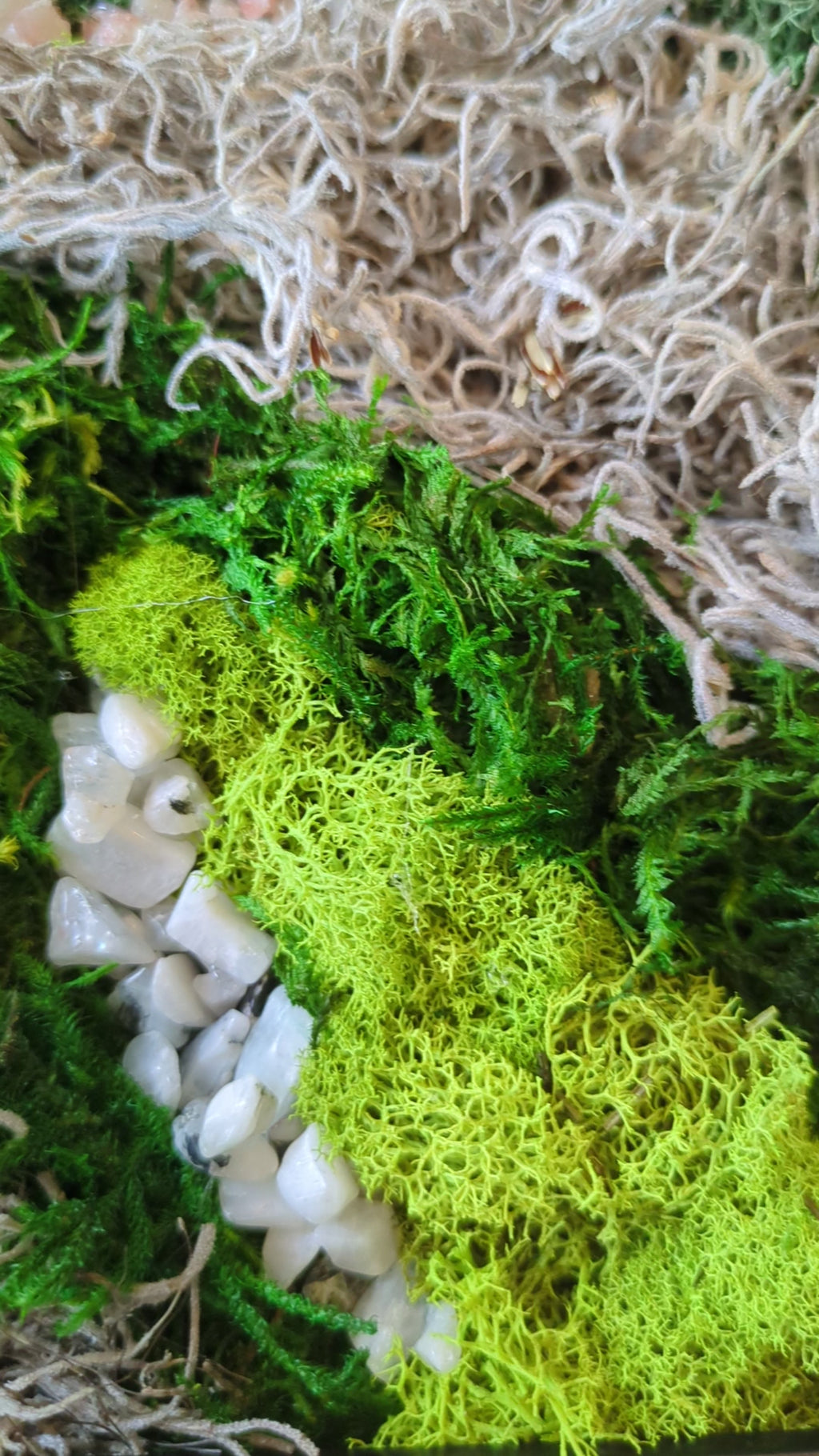 Becoming — No. 1 | Original Moss & Crystal Art